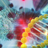 Cancer treatment