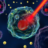 Gold nanoparticles near cancer cells