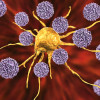 T cells attack a cancer cell