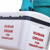 human organ transplant case