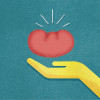 kidney and hand