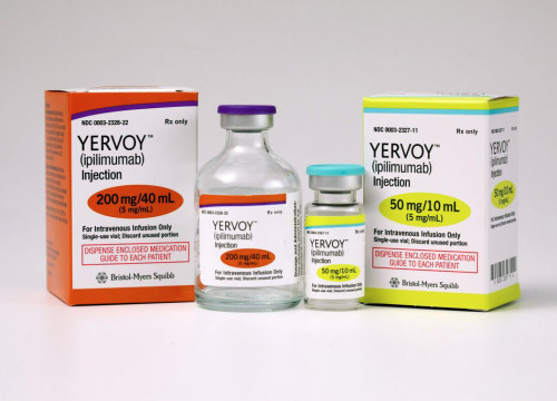 Yervoy (ipilimumab)