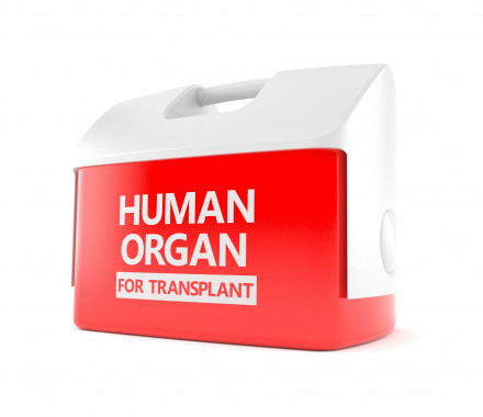 Red Cooler "Human Organ for Transplant"
