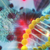 Cancer treatment