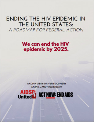 Ending the HIV Epidemic in the United States report