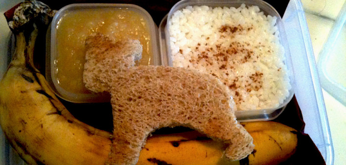 brat diet, bananas, rice, applesauce, toast, chemotherapy, nausea, side effects, vomiting
