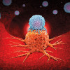 T cells attacking cancer