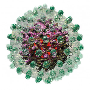 Hep B illustration