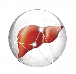 liver in sphere illustration