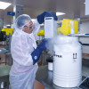A patient’s T cells arrive at the Novartis manufacturing facility in Morris Plains, where they will be re-engineered to recognize and fight cancer and healthy cells expressing a specific antigen in the patient’s body.