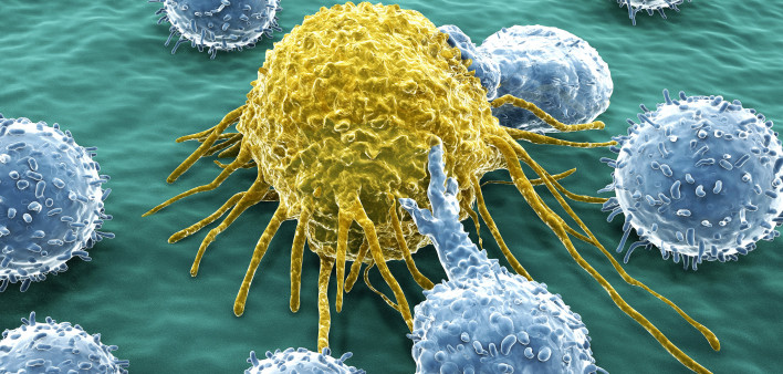 Lymphocytes attacking a cancer cell