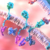 Chimeric antigen receptor T-cell (CAR-T) therapy