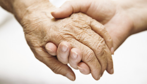 one hand holds the other elderly hand