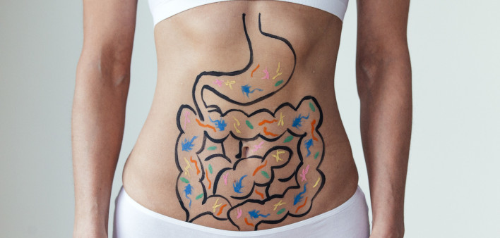 womans abdomen with intestines and bacteria drawing