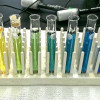The different colors of bromothymol blue. From left: blank, pH 4, pH 6.2, pH 6.6, pH 7.2, pH 7.5, pH 8, pH 12.