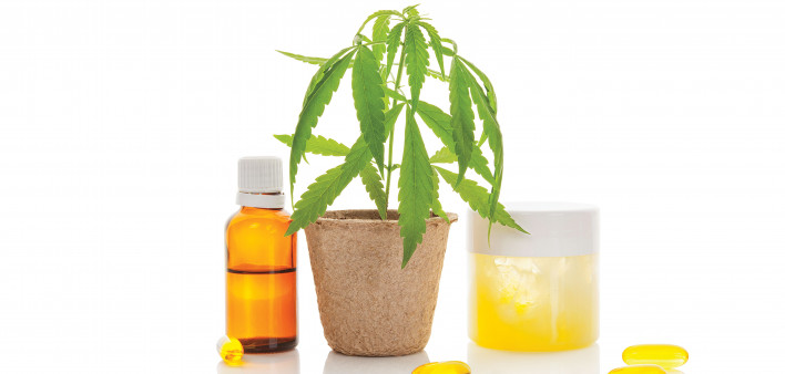 cannabis pot plant and cannabis oil and gel caps