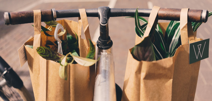 groceries, grocery bags, brown paper bags, bicycle, handlebars, shopping, food