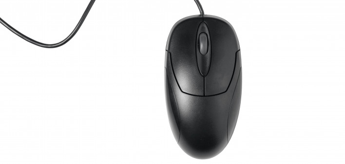 computer mouse