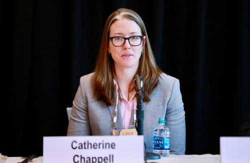 Catherine Chappell of Magee–Womens Research Institute, speaking at CROI 2019