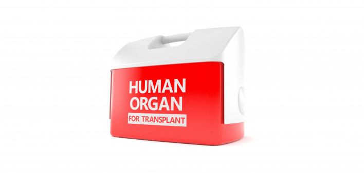 Red Cooler "Human Organ for Transplant"
