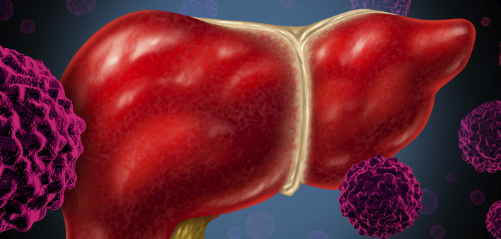An illustration of a liver and virus particles