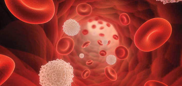 illustrarion of blood cells