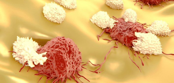Lymphocytes attacking cancer cells 