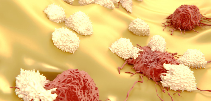 Lymphocytes attacking cancer cells 