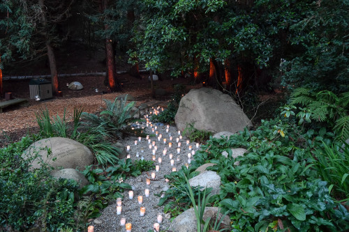 Light in the Grove 2018 National AIDS Memorial