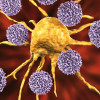 T cells attack a cancer cell