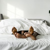 african american black couple feet showing from under covers in bed