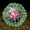 Hepatitis B virus