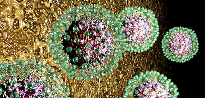 hepatitis B, HBV