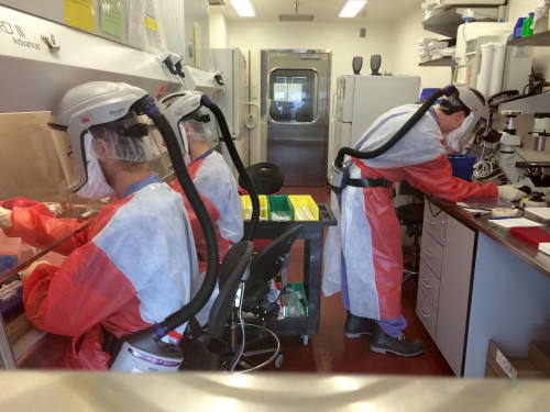 The University of Pittsburgh's Center for Vaccine Research