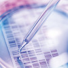 DNA Sequencing Gel