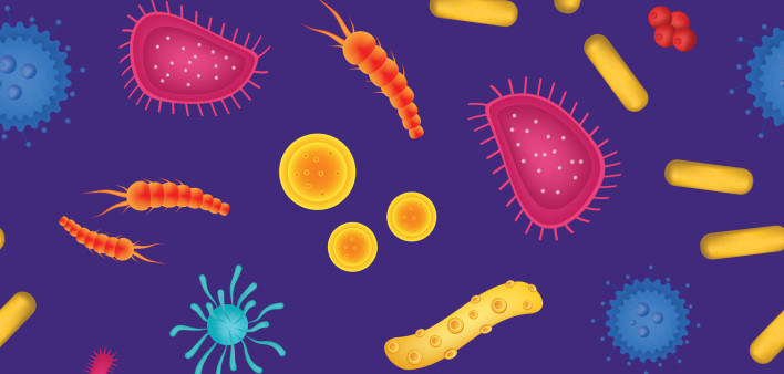 colorful illustration of microbes