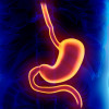 Stomach