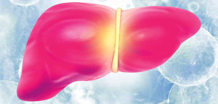 illustration of liver and virus