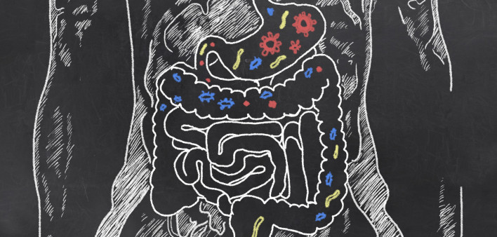 gut-bacteria