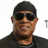 Stevie Wonder