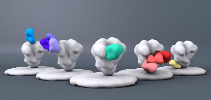 This computer-generated graphic shows broadly neutralizing antibodies (in color) bonding to regions on the surface of HIV.