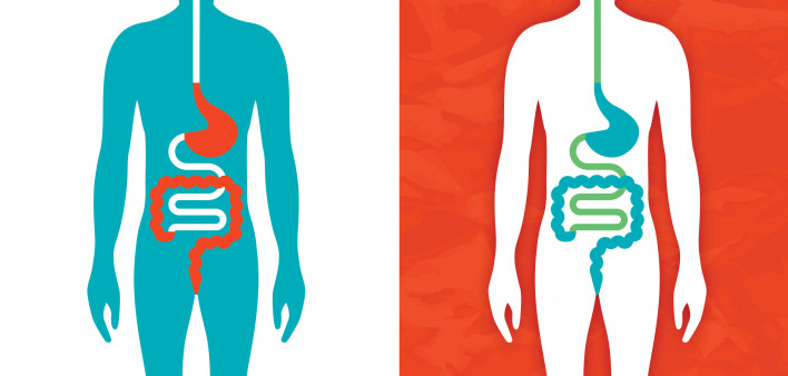 illustration of a figure showing the digestive system
