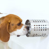 A new study has shown that dogs can use their highly evolved sense of smell to pick out blood samples from people with cancer with almost 97 percent accuracy.