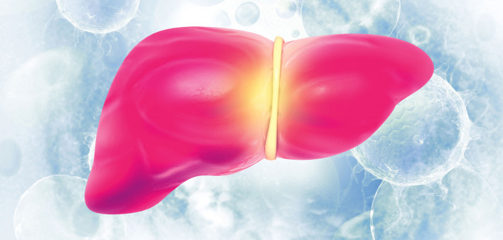 illustration of liver and virus