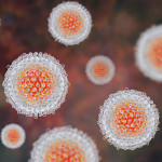 Hepatitis C virus, HCV