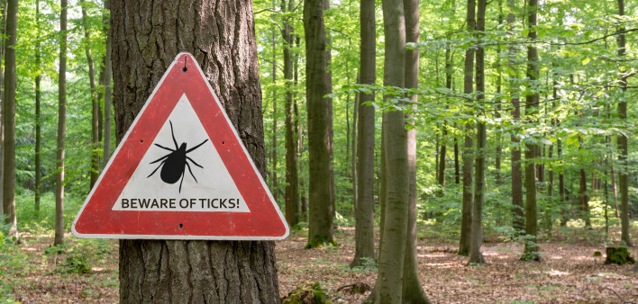 Beware of Ticks sign in woods