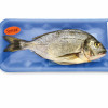 fish wrapped in plastic