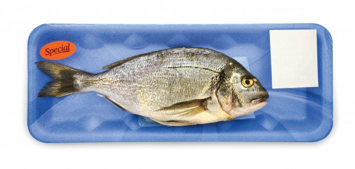 fish wrapped in plastic