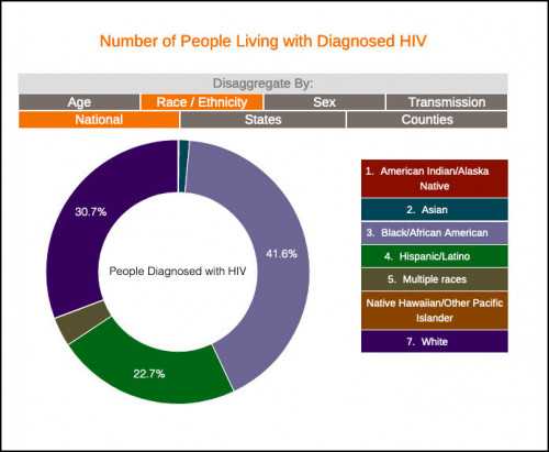 Sample graphic found on the End the HIV Epidemic Database