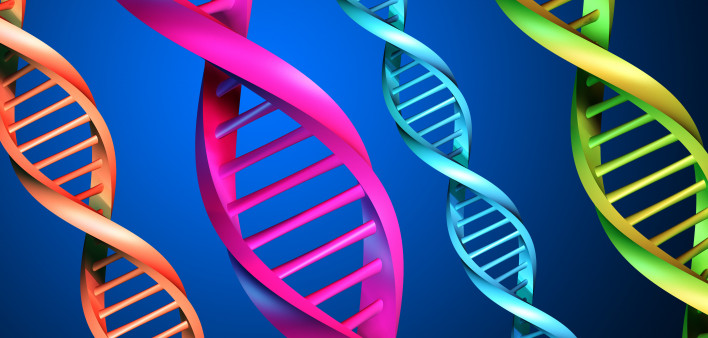 DNA-multicolor